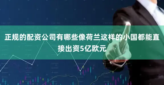 正规的配资公司有哪些像荷兰这样的小国都能直接出资5亿欧元