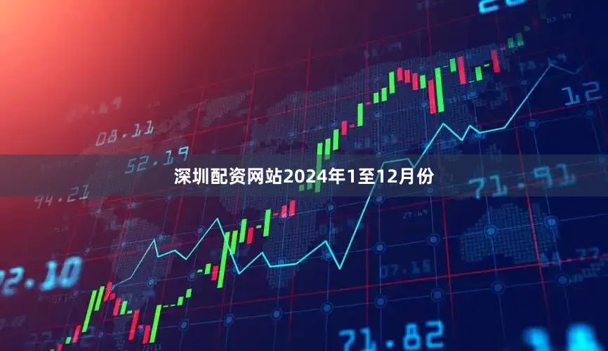 深圳配资网站　　2024年1至12月份