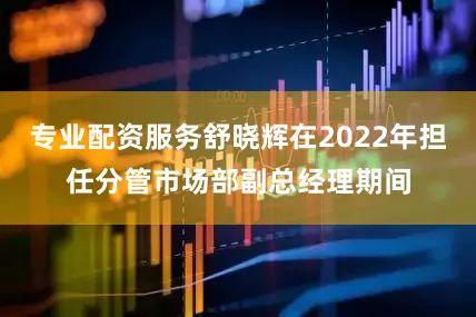 专业配资服务舒晓辉在2022年担任分管市场部副总经理期间