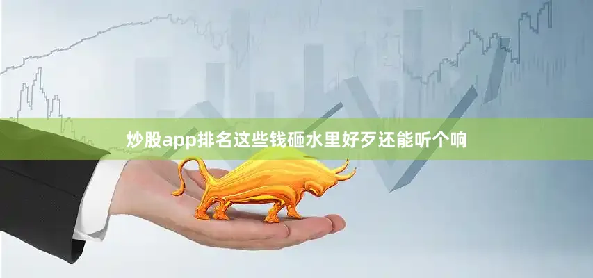 炒股app排名这些钱砸水里好歹还能听个响