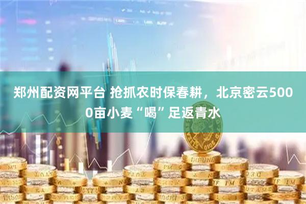 郑州配资网平台 抢抓农时保春耕，北京密云5000亩小麦“喝”足返青水